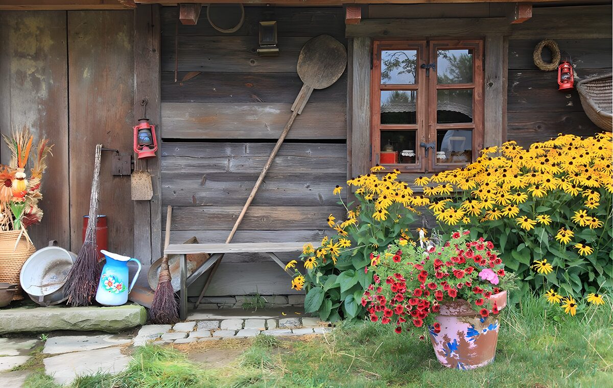 OCUK64362: Rustic Charm in Bloom