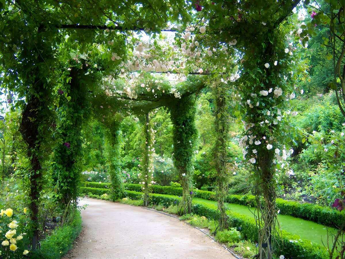 OCUK41206: Enchanted Floral Pathway