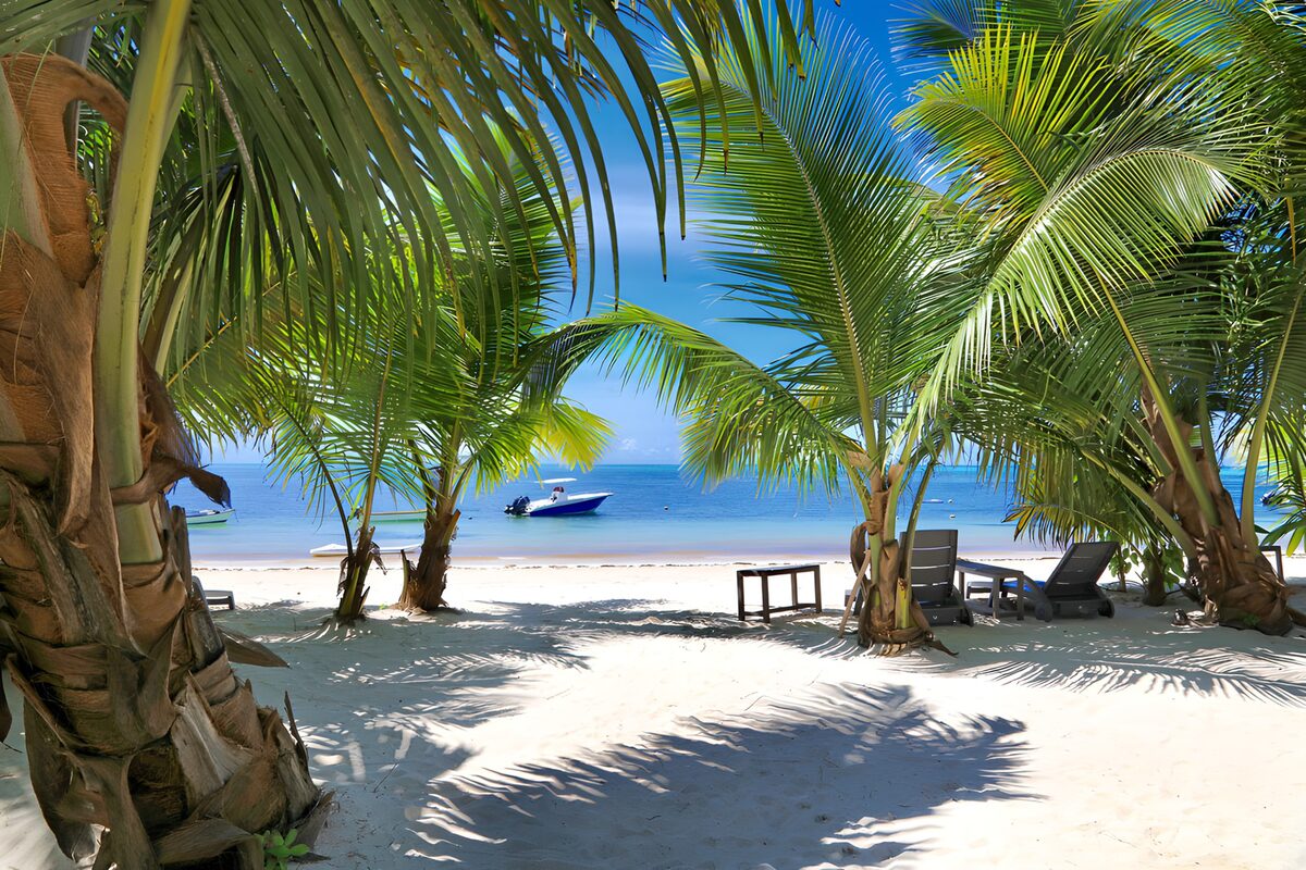 OCUK13504: Serene Tropical Beach Escape