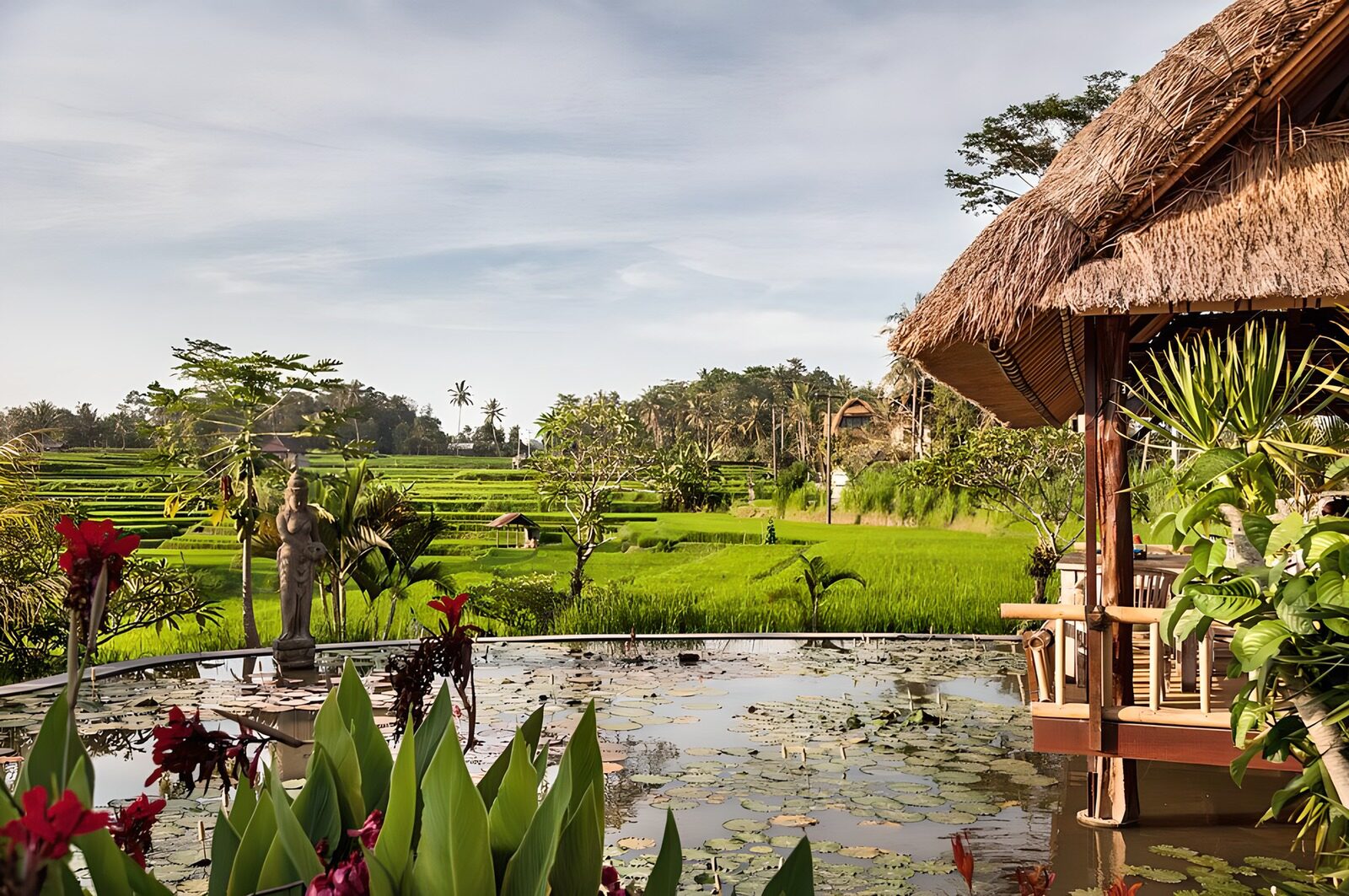 OCUK47695: Serene Rice Field Retreat