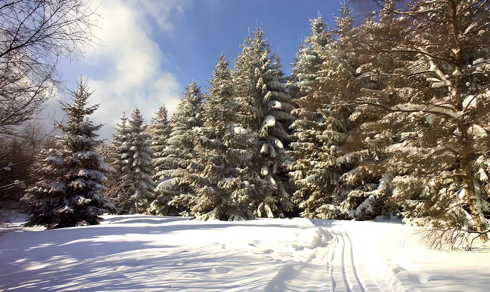 OCUK11358: Winter Wonderland Serenity