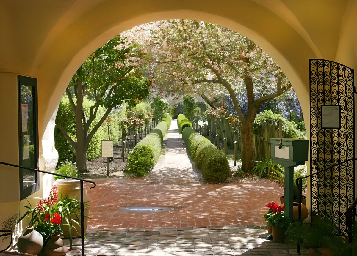 View from the house towards the  garden
