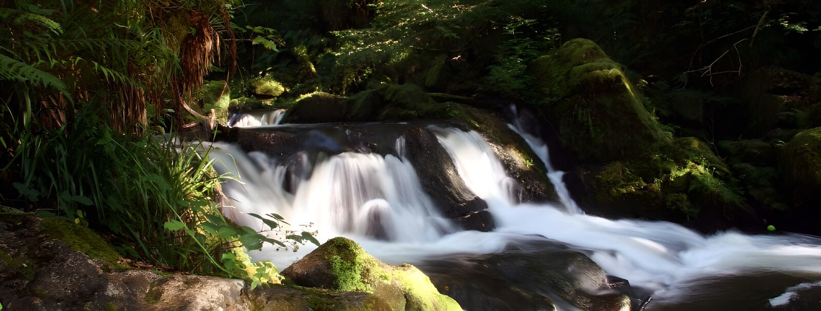 OCUK14459: Serene Forest Waterfall