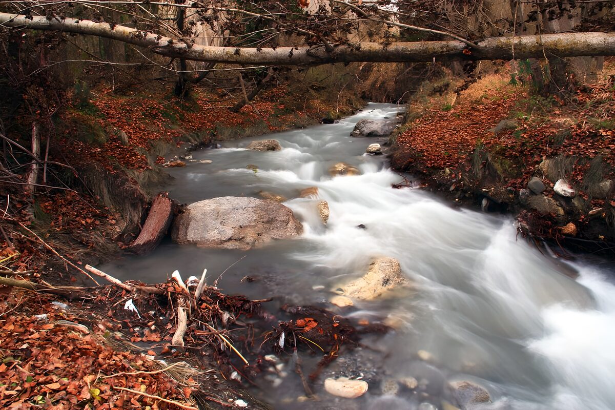 OCUK22743: Tranquil Stream in Autumn