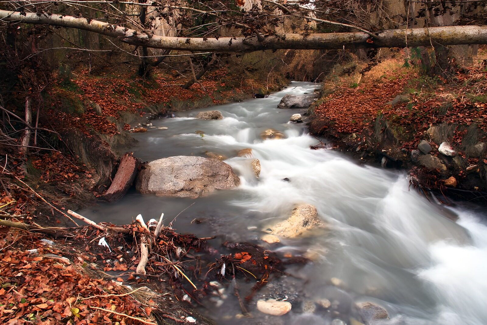 OCUK22743: Tranquil Stream in Autumn