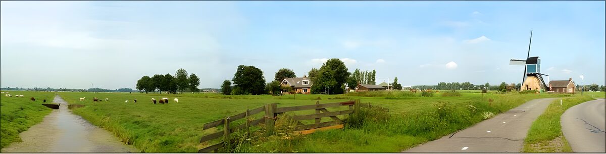 Dutch meadow landscapes 2