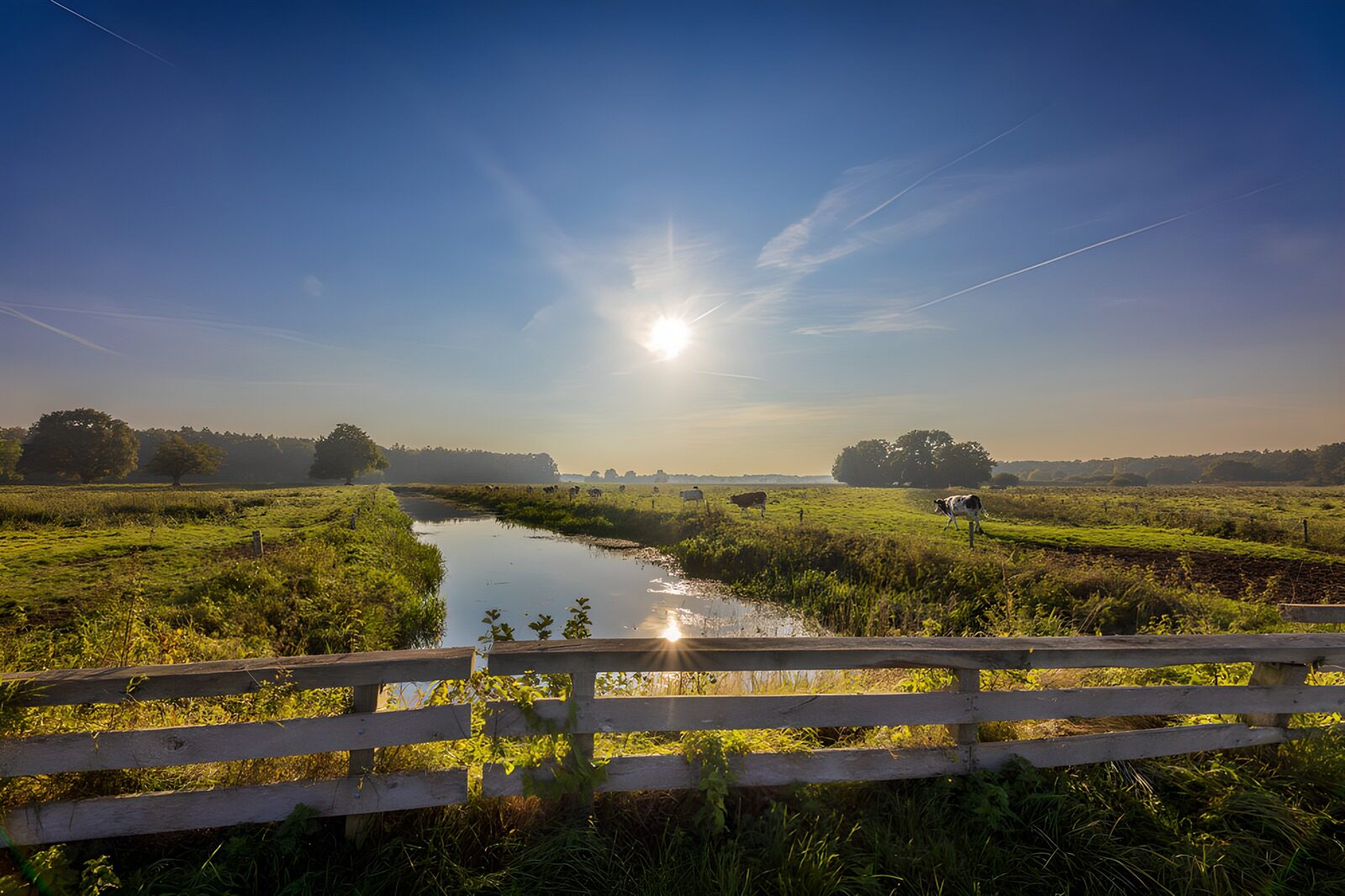 OCUK46487: Tranquil Pastoral Morning