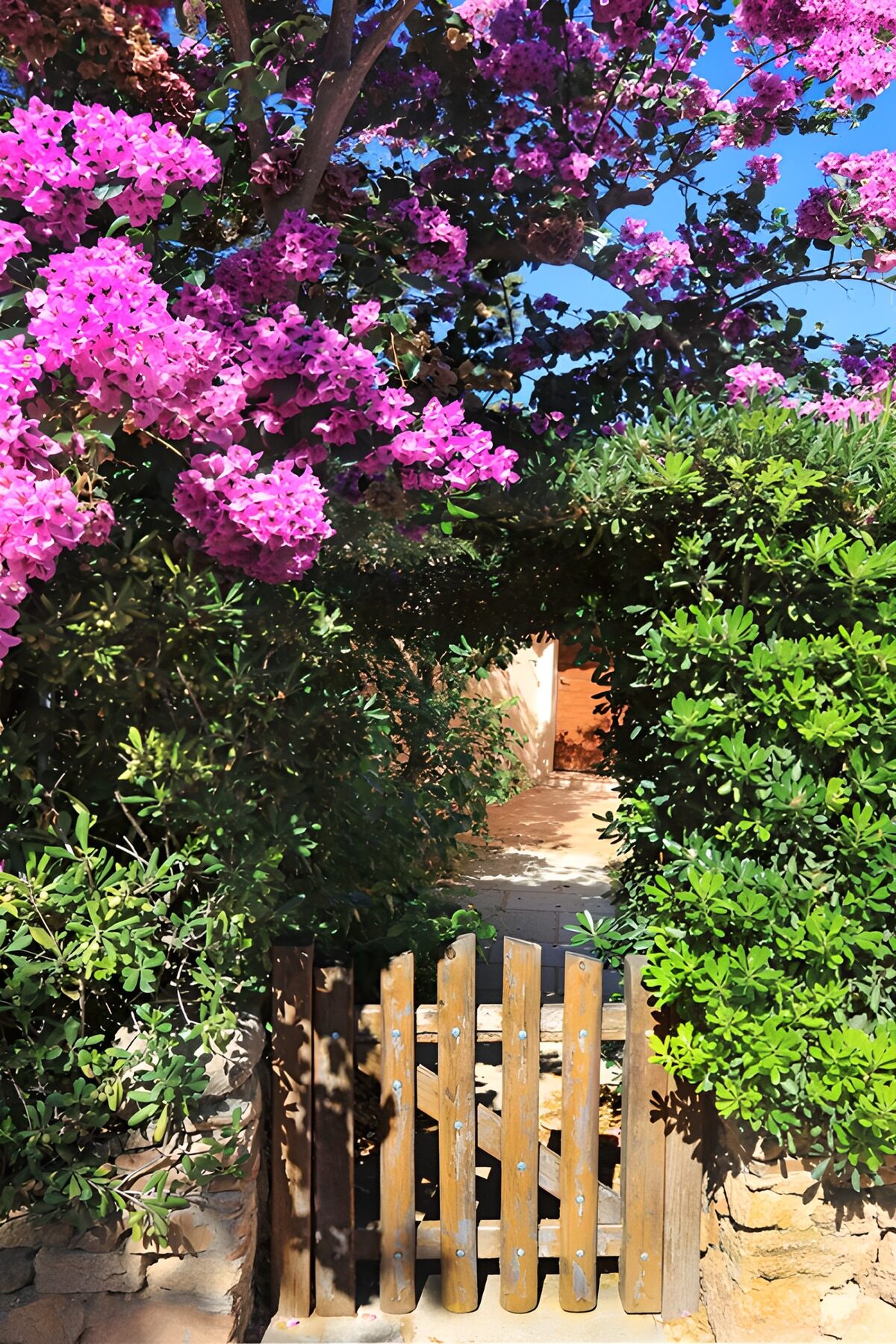 OCUK71835: Blooming Gateway to Serenity