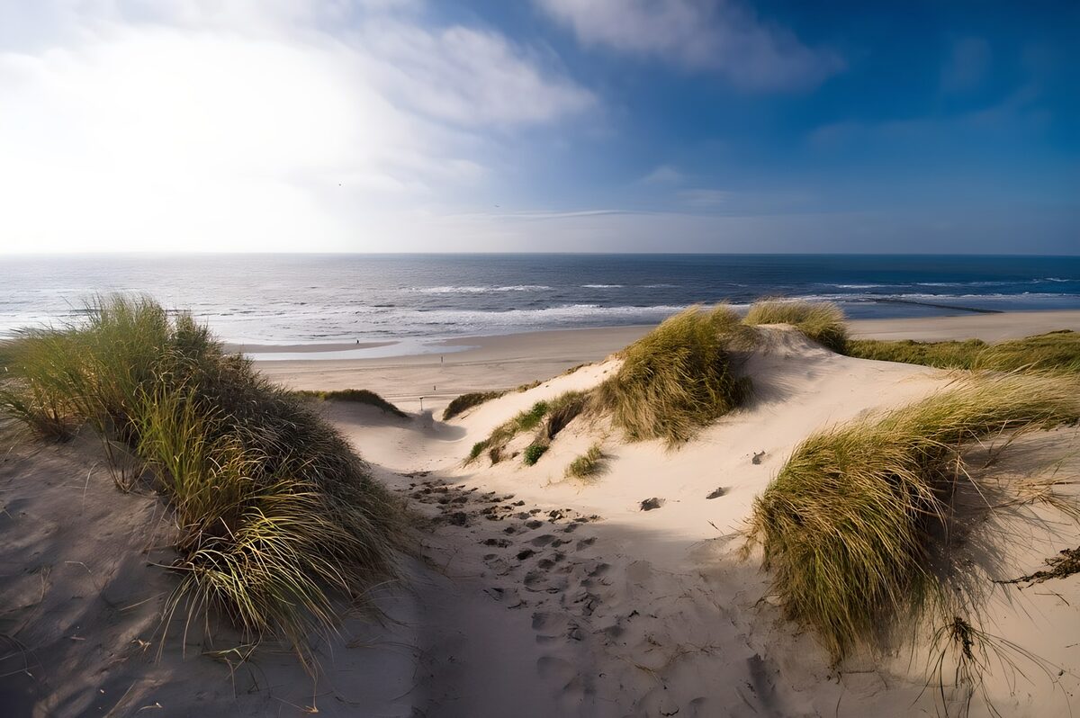 OCUK45419: Tranquil Dunes by the Ocean