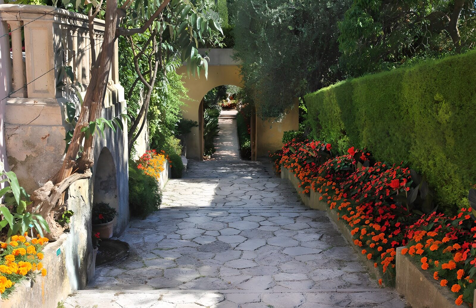 OCUK17635: Serene Garden Pathway