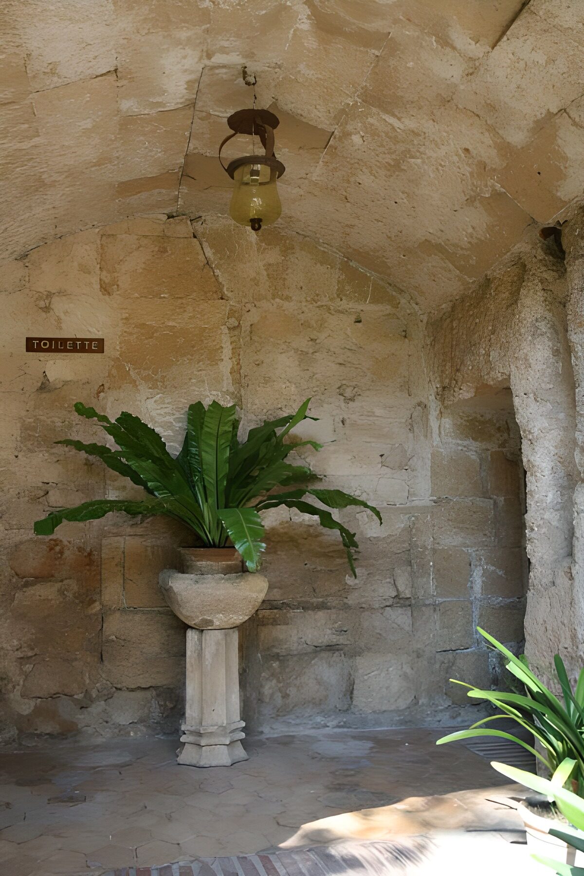 OCUK82850: Plant in  plant trough located in chapel with lantern