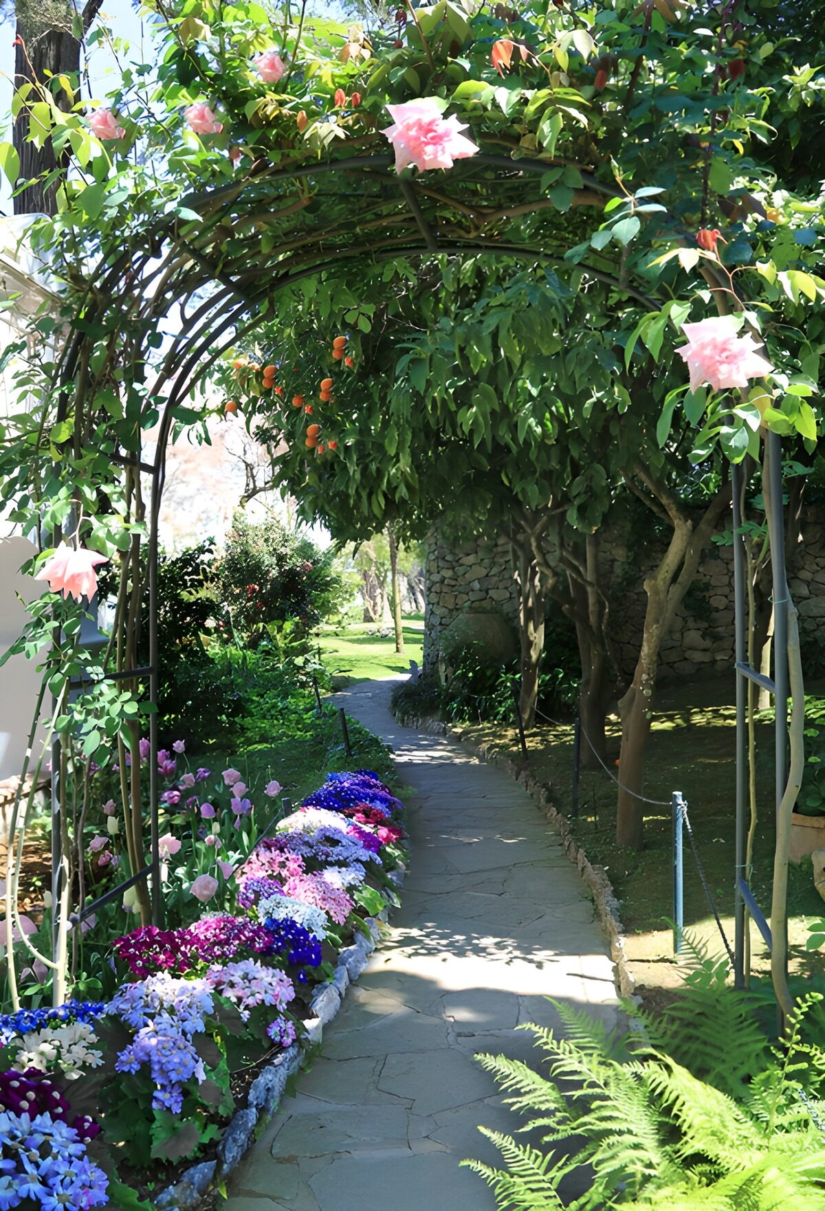 OCUK10297: Enchanted Floral Pathway