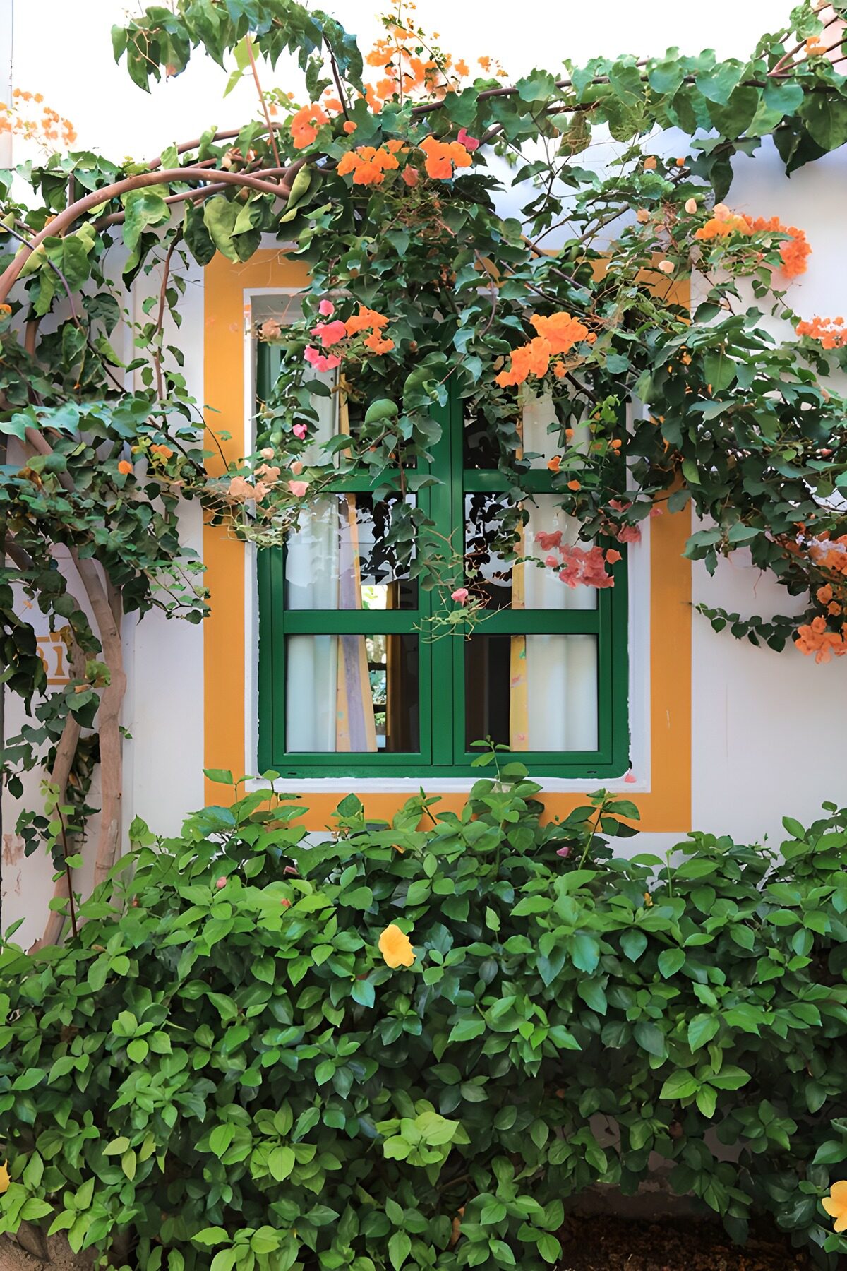 OCUK96049: Charming Window Adorned with Flowers