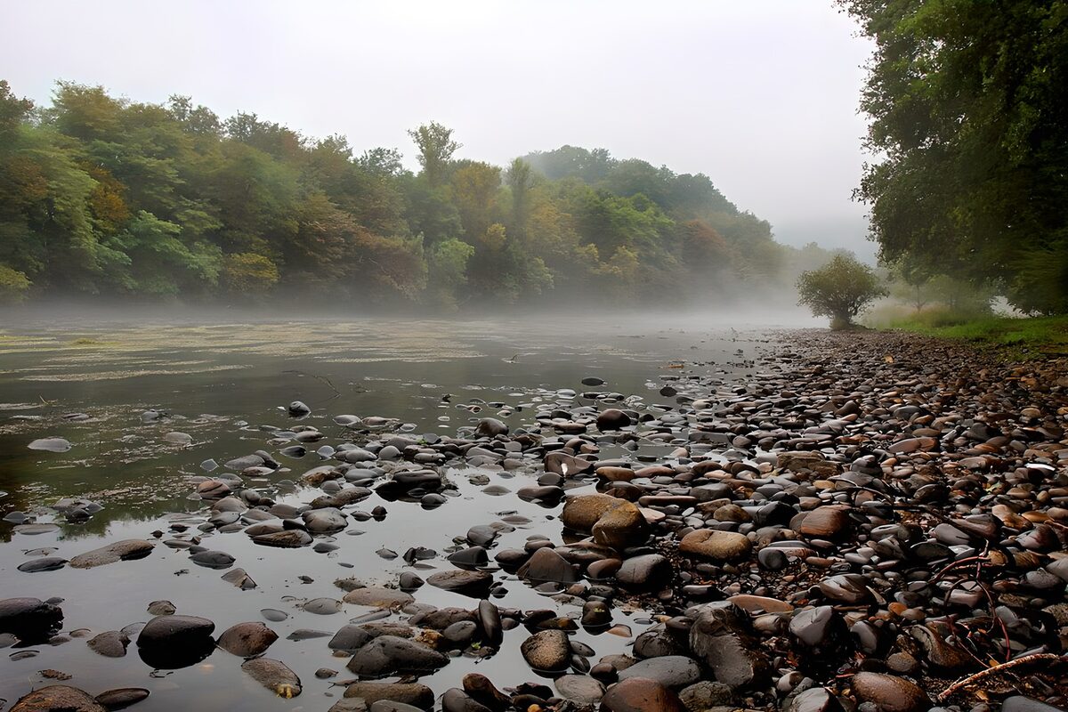 OCUK69134: Tranquil Misty River Landscape