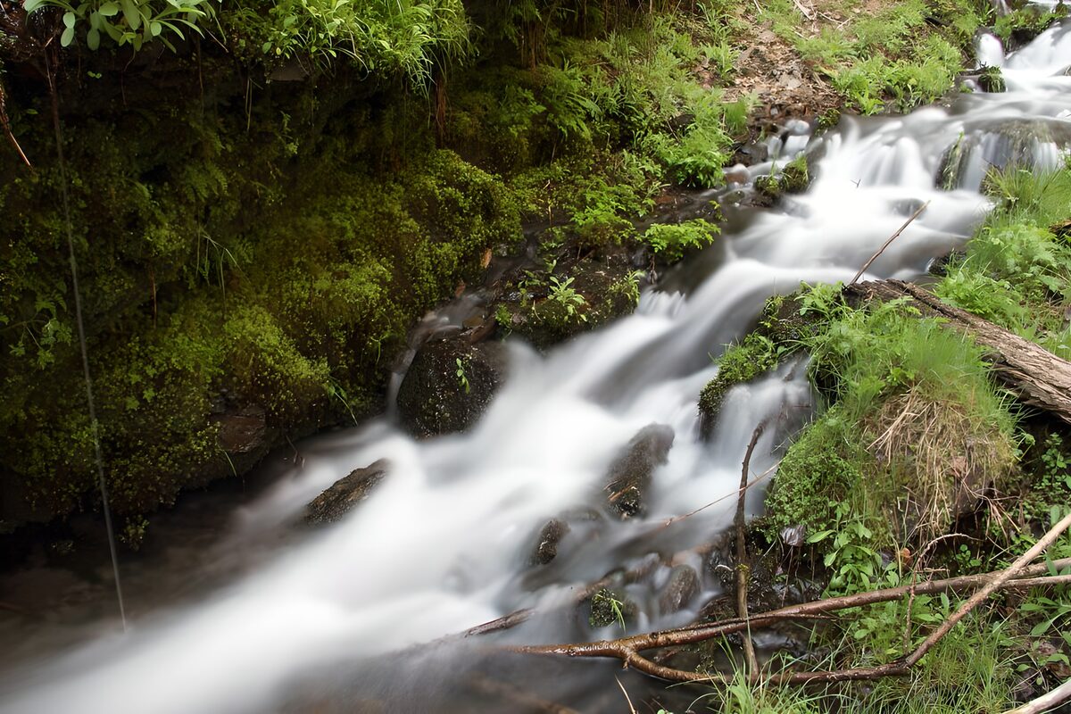 OCUK46565: Whispering Streams in Lush Greenery