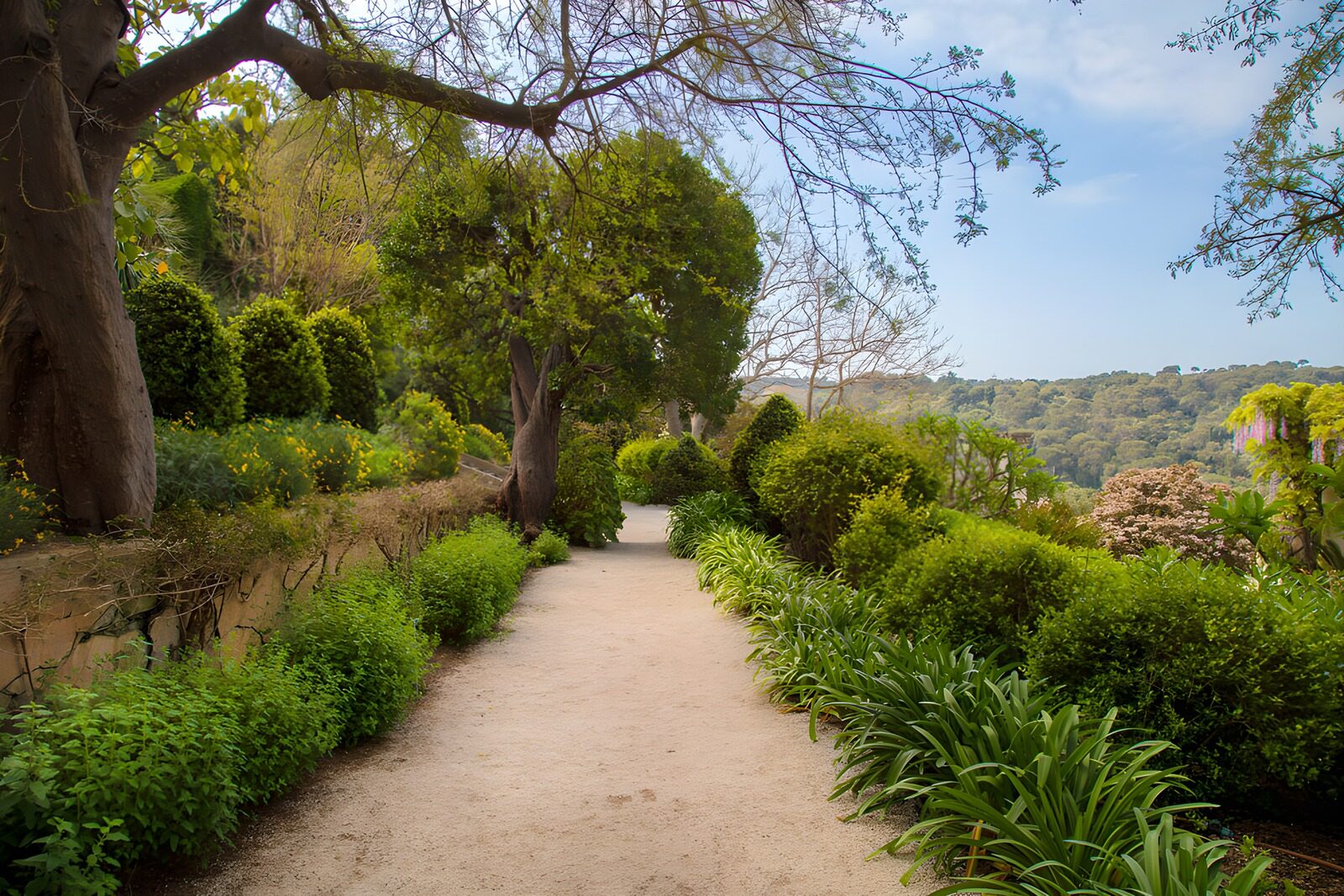 OCUK42182: Serene Garden Pathway Among Lush Greens