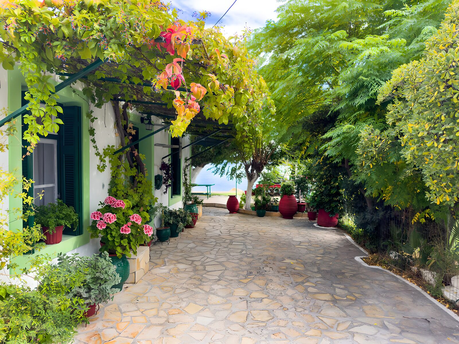 OCUK56529: Garden Terrace by the Sea