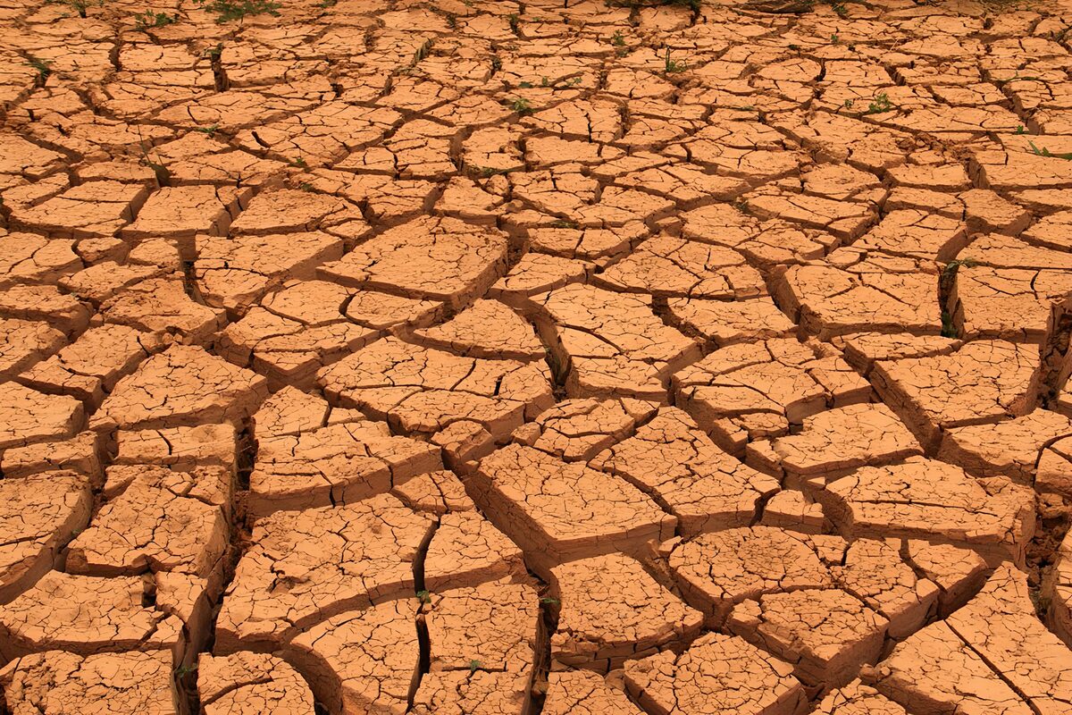 OCUK87031: Parched Earth: A Cracked Landscape