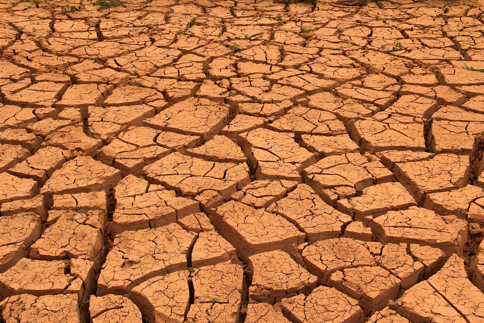 OCUK87031: Parched Earth: A Cracked Landscape