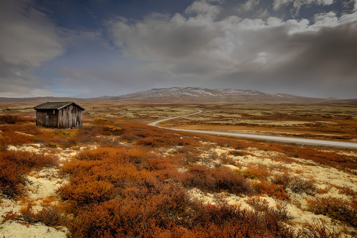 Rustic Cabin in Autumn Landscape