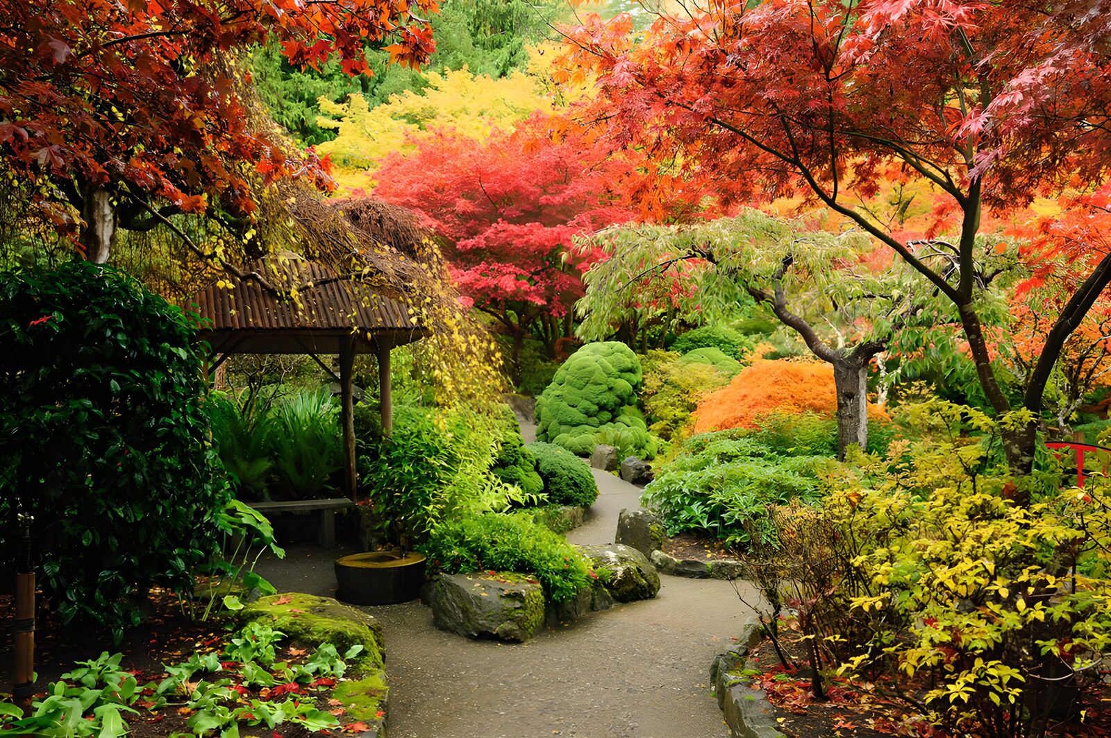 OCUK77051: Vibrant Fall Garden Landscape