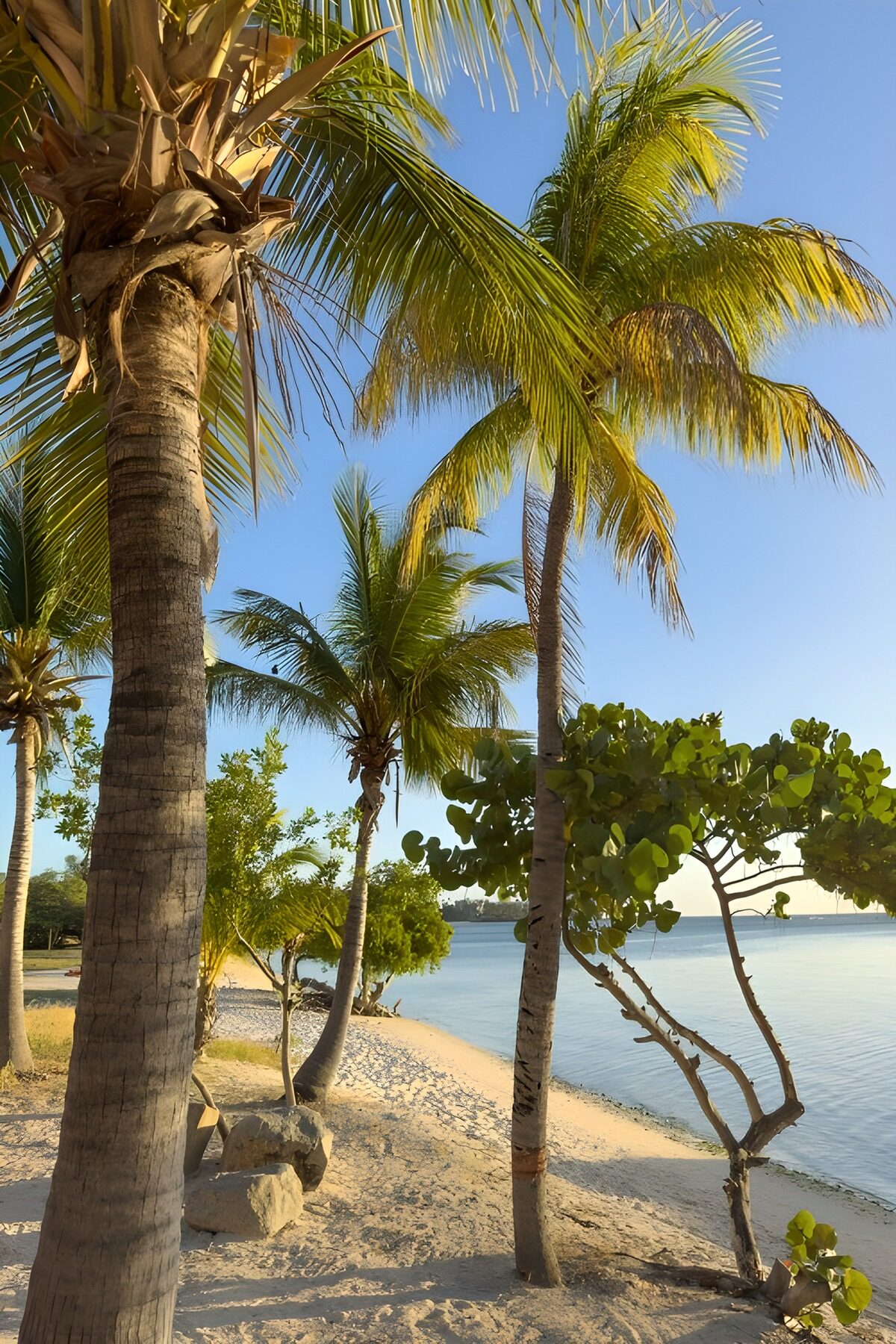 OCUK45727: Serene Beachside Paradise