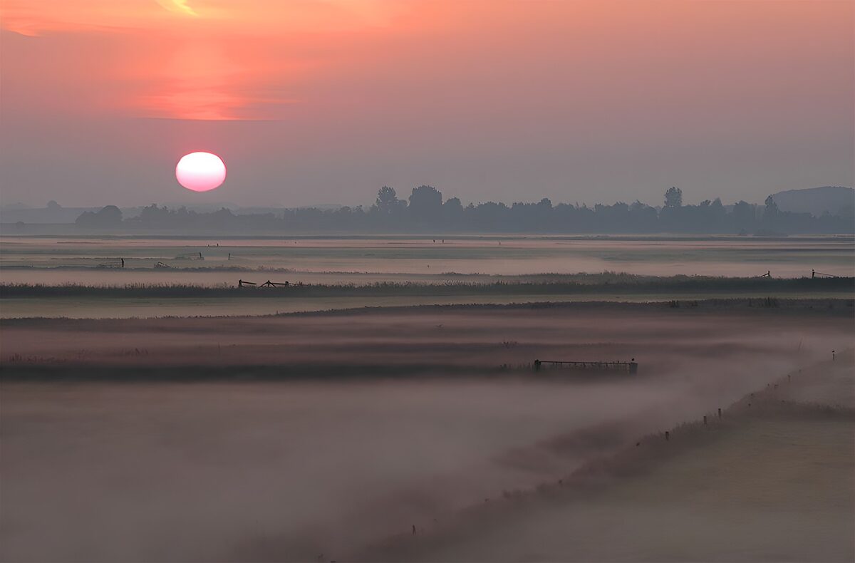 OCUK25267: Serene Sunrise Over Misty Fields