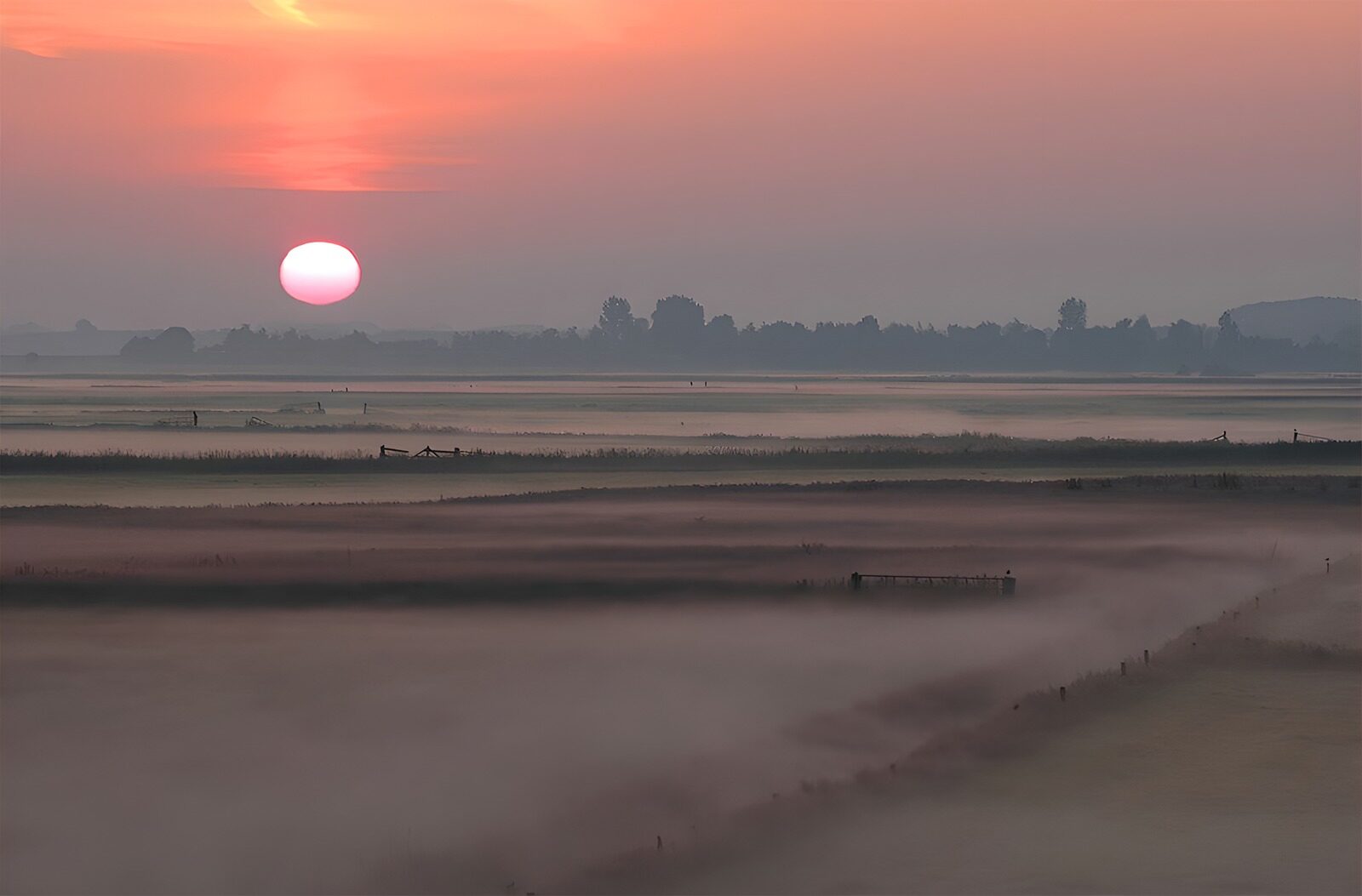 OCUK25267: Serene Sunrise Over Misty Fields