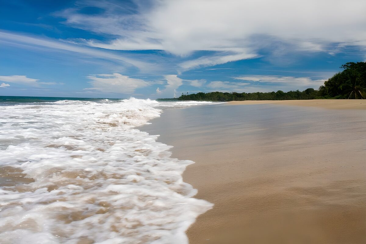 OCUK87097: Serene Beachfront with Gentle Waves