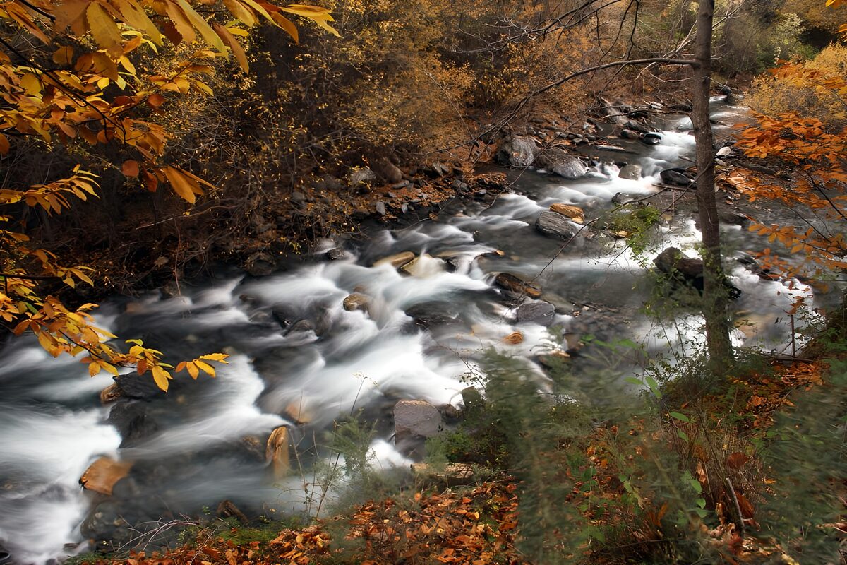 OCUK50168: Serene Autumn Stream Flow