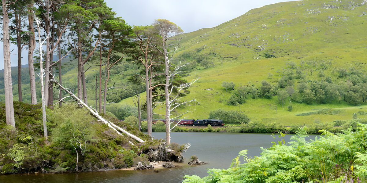 Scenic Train Journey in Highland Landscapes