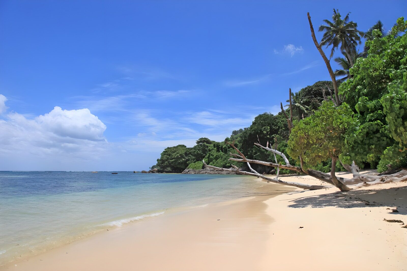 OCUK21692: Tropical Paradise with Serene Shoreline
