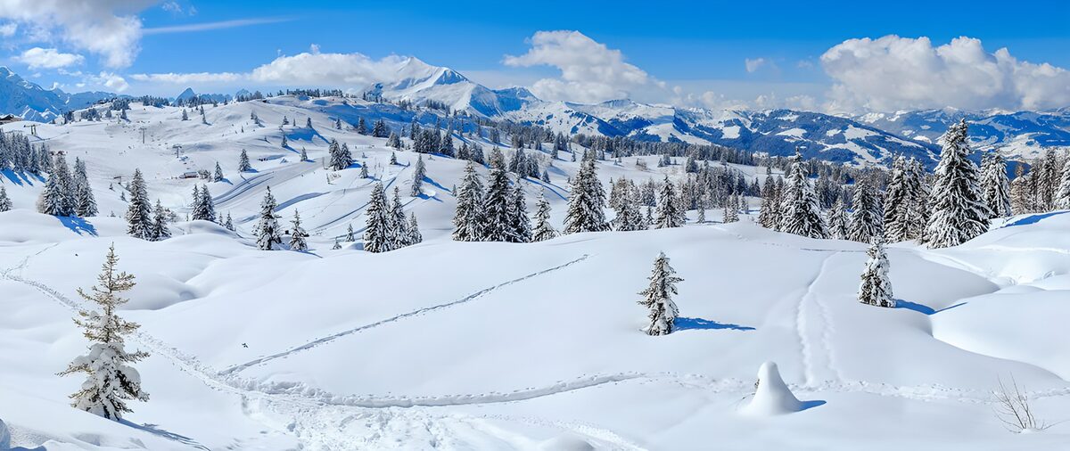 OCUK36398: Winter Wonderland: Snowy Mountain Landscape