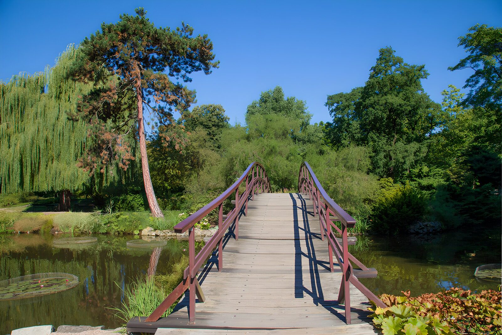 OCUK58505: Serene Footbridge in a Tranquil Garden