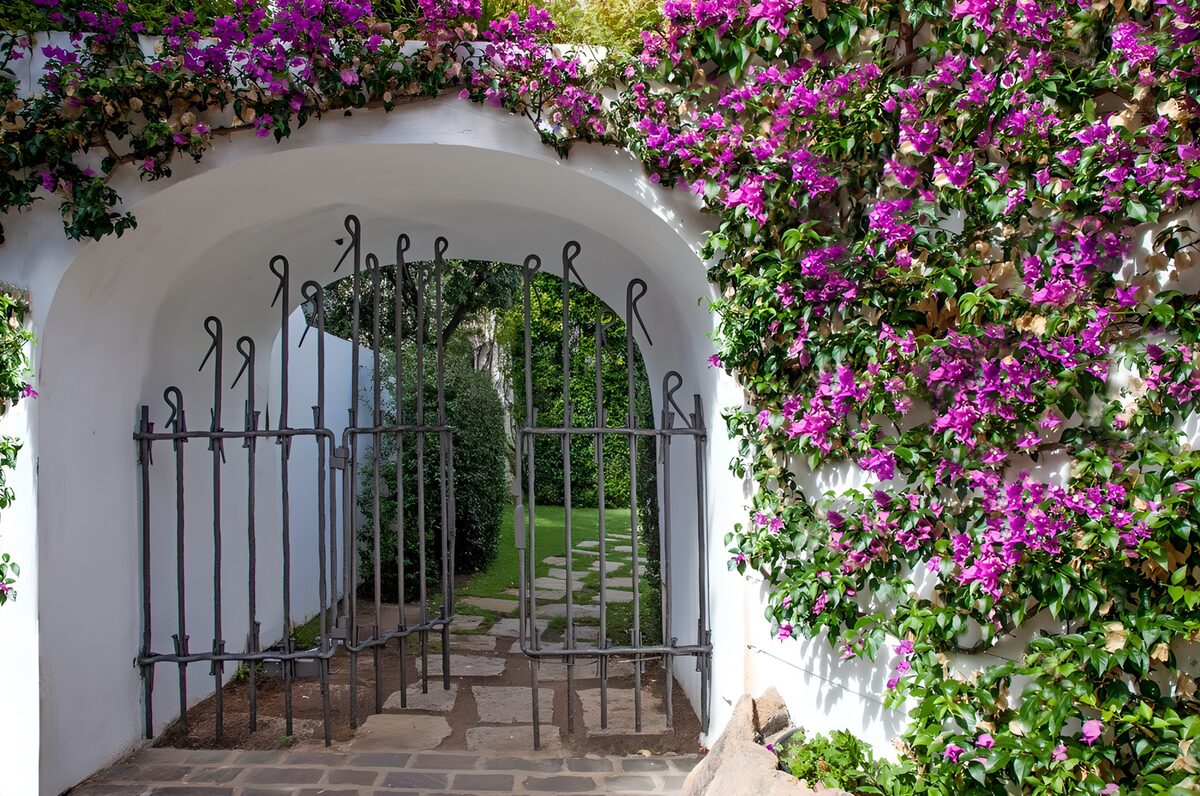 OCUK39273: Enchanted Garden Gate