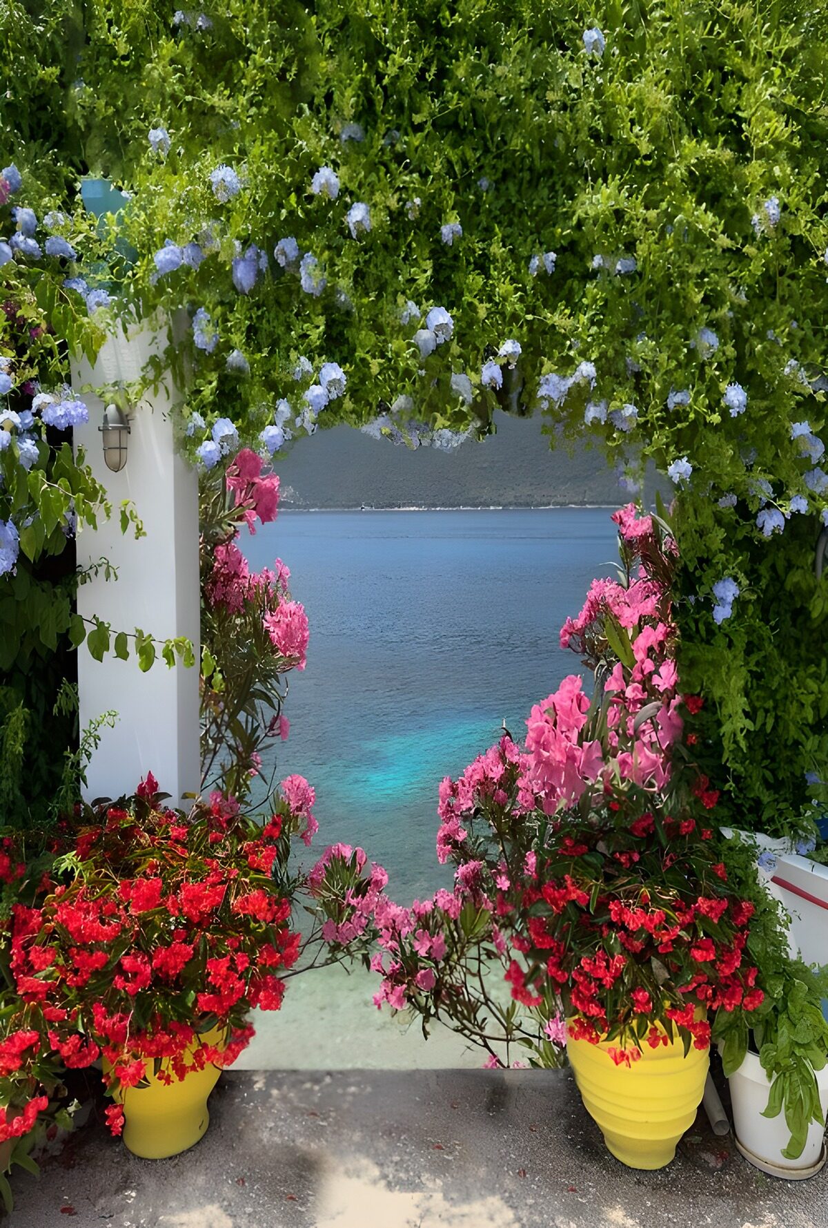 OCUK55357: Coastal Blossoms in a Colorful Archway