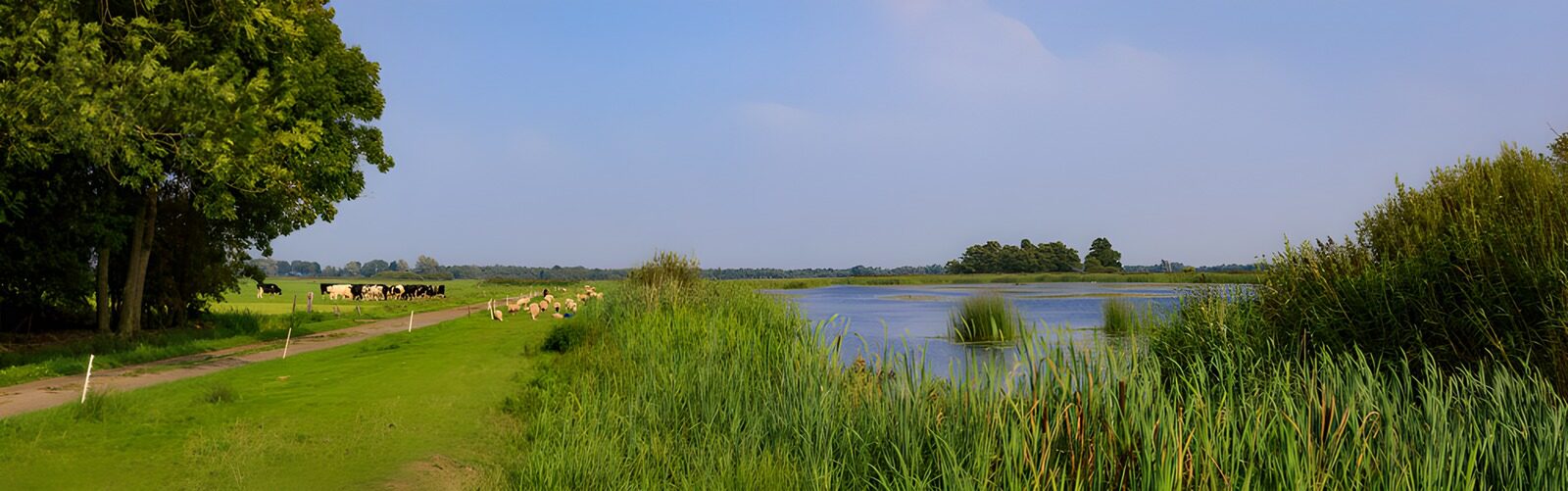 OCUK70795: Tranquil Countryside by the Water