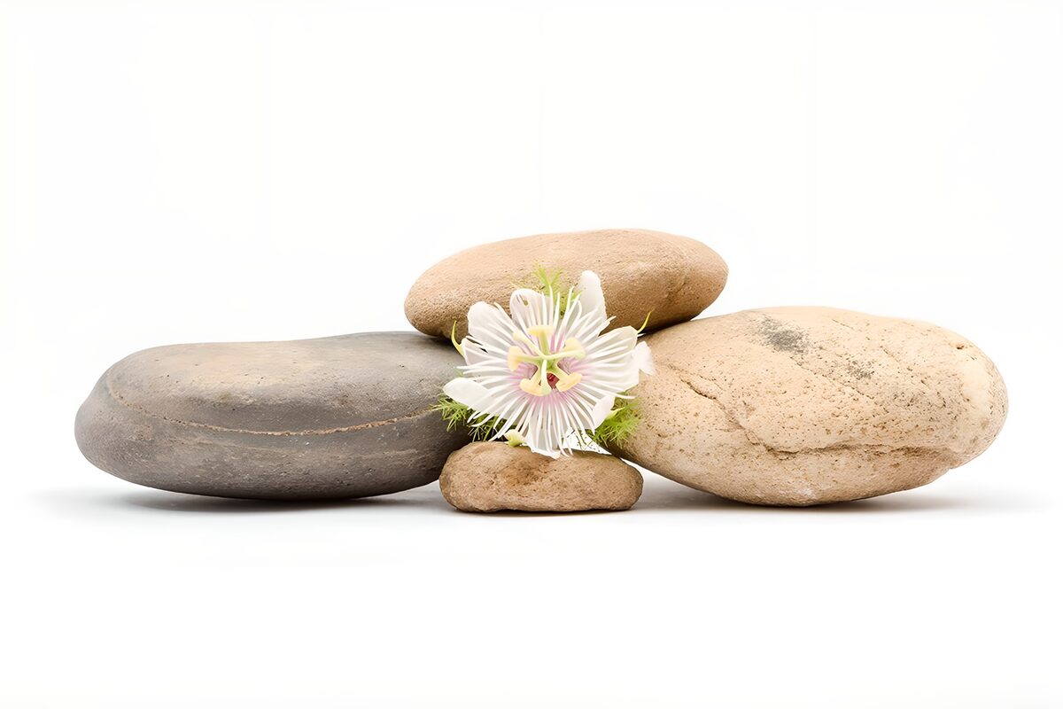 OCUK15690: Tranquil Stones with a Flower Accent