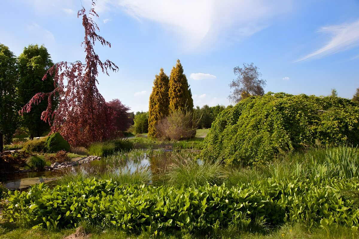 Serene Landscape with Lush Greenery