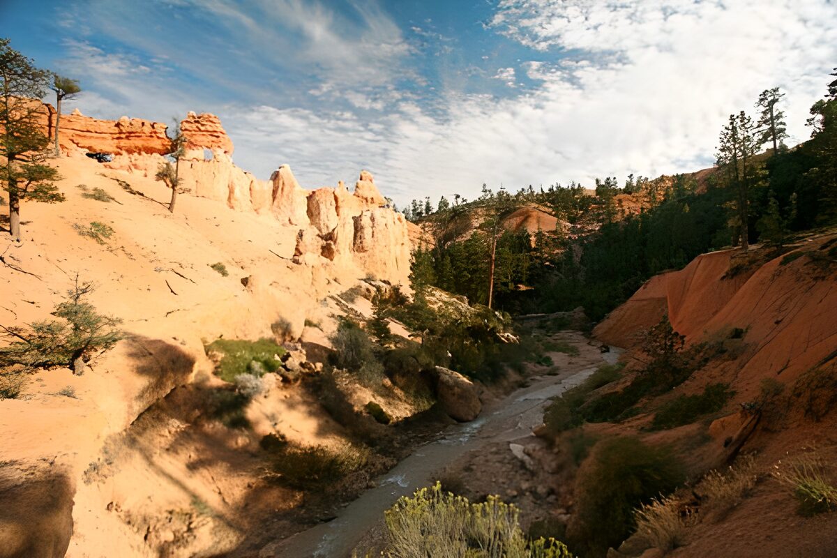 View of river cutting through canyon