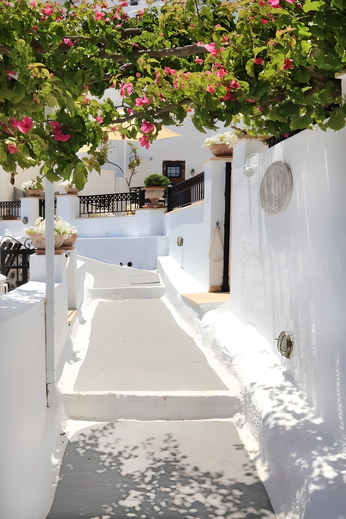 OCUK70778: Charming Pathway with Bougainvillea Blooms