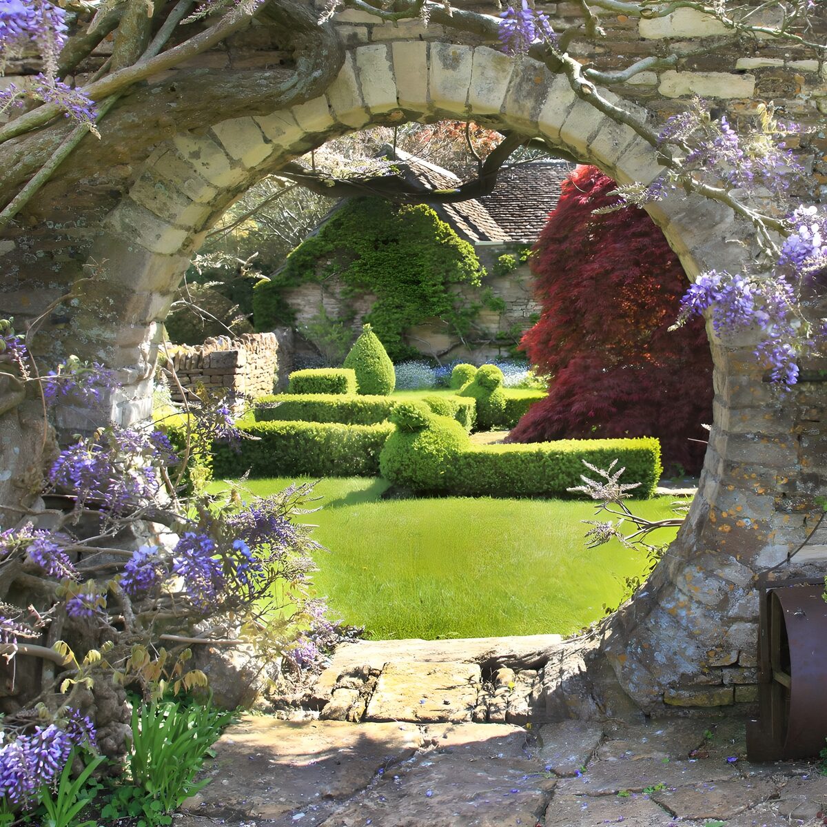 Round garden passage overgrown with Wisteria Sinensis