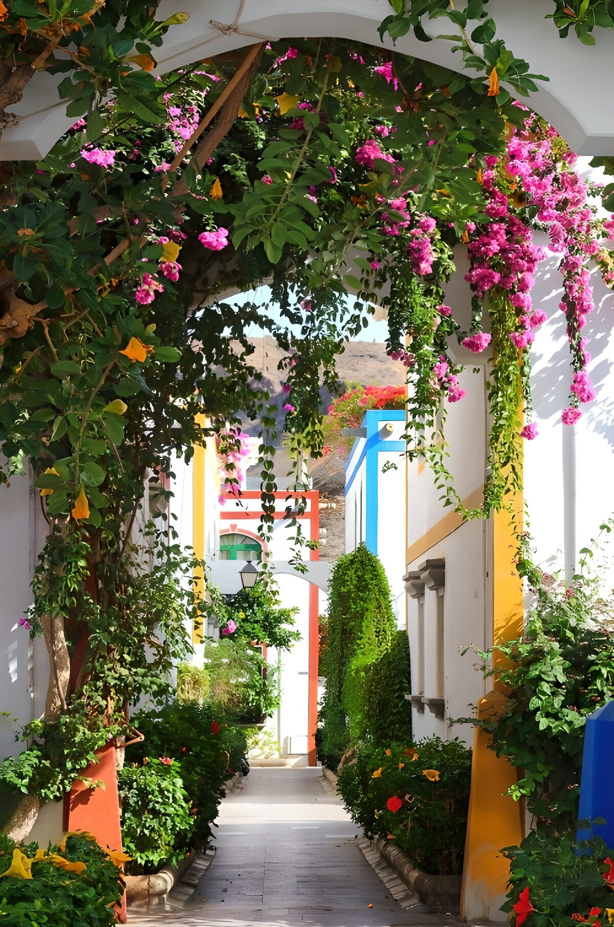 OCUK64146: Vibrant Floral Pathway