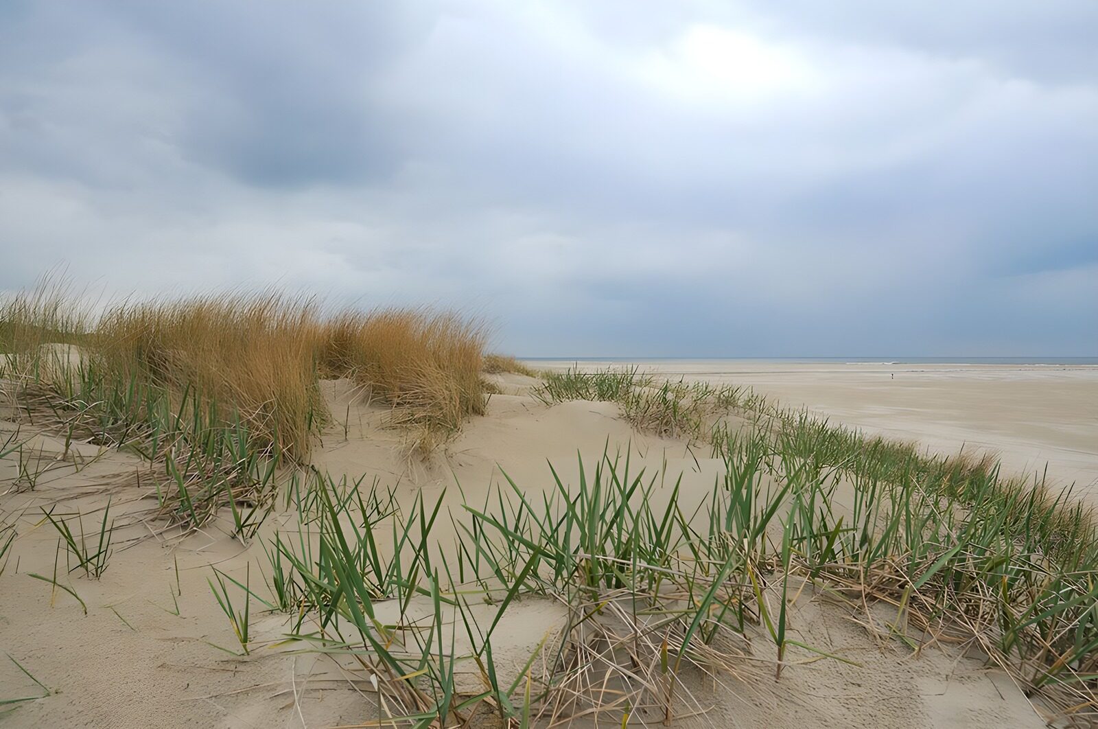 OCUK57989: Serene Dunes Under Cloudy Skies