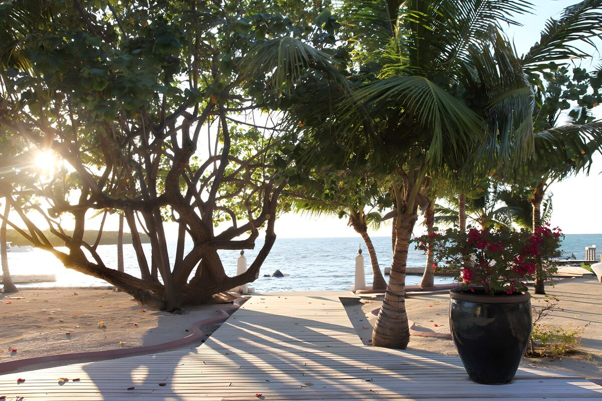 OCUK59673: Tranquil Path by the Shore