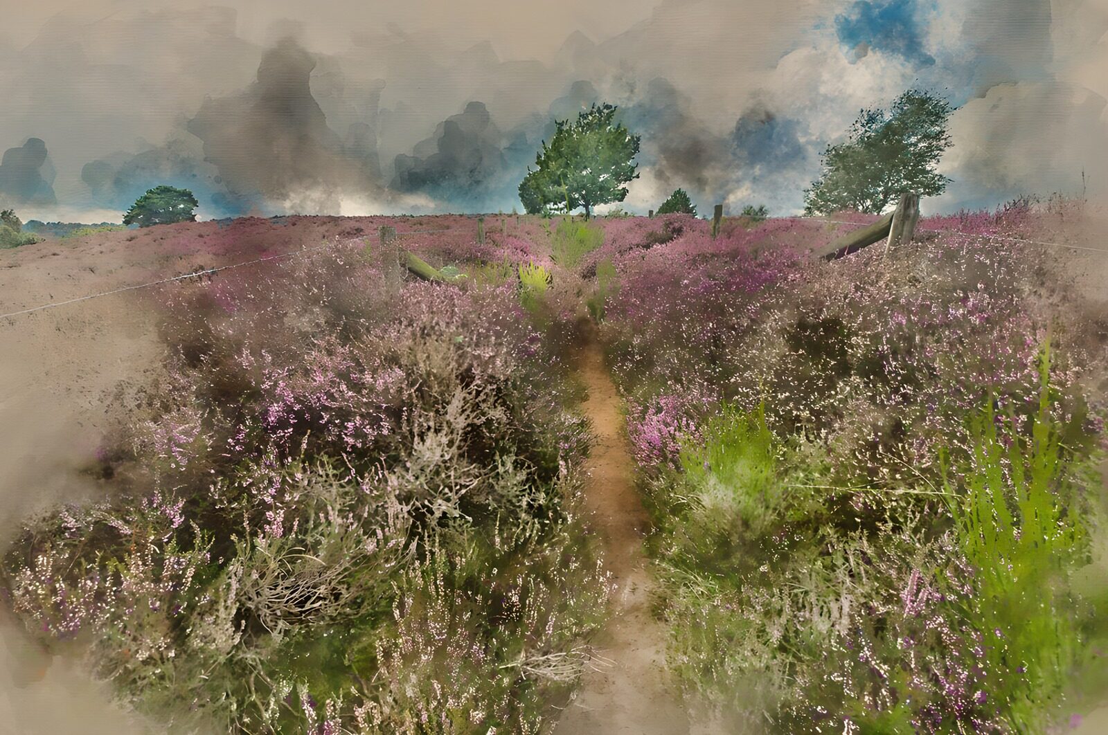 OCUK74623: Serene Heather Pathway
