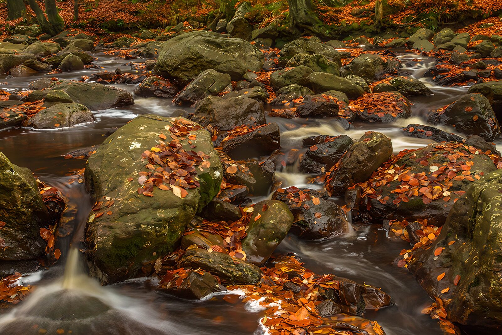 OCUK37265: Tranquil Autumn Stream