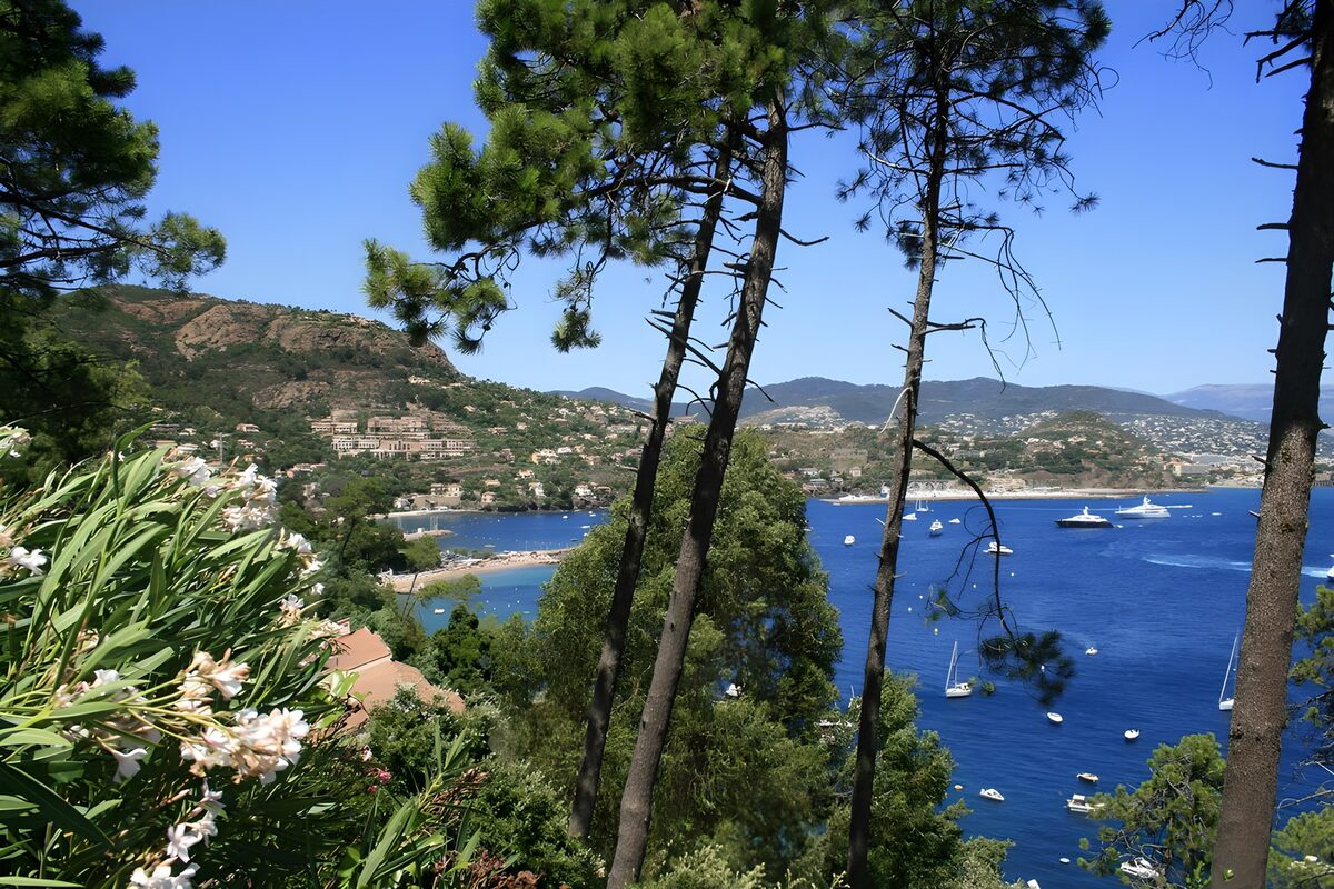Serene Coastal View Above the Bay