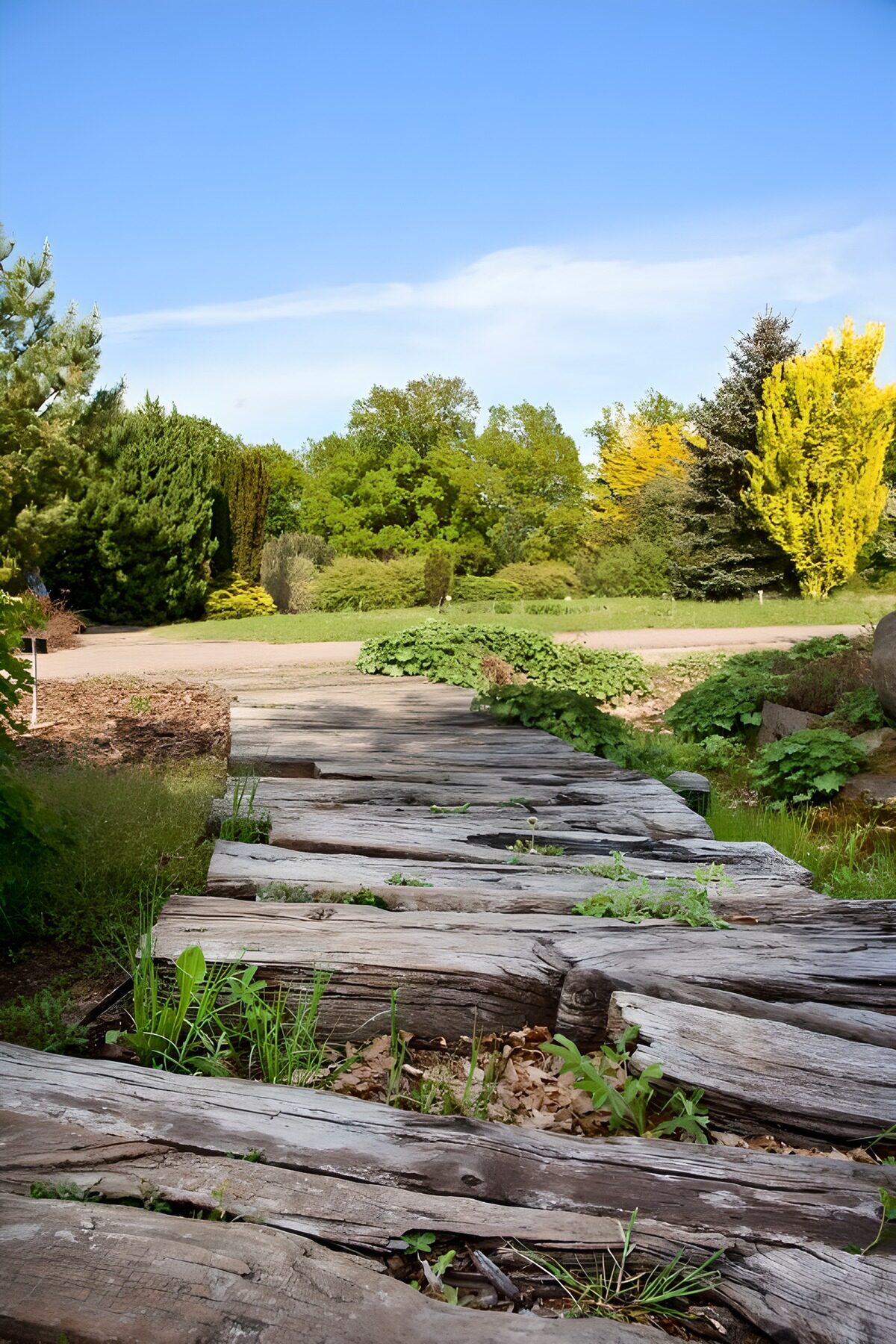 OCUK48563: Tranquil Garden Pathway