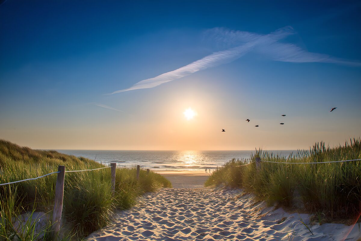 OCUK40862: Serene Sunset at the Beach Path